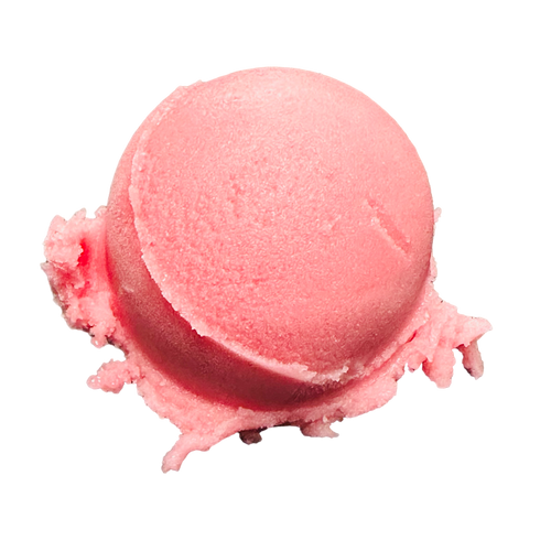 Prickly margarita sorbetto ntwt 1 pint plk 1848 ice cream