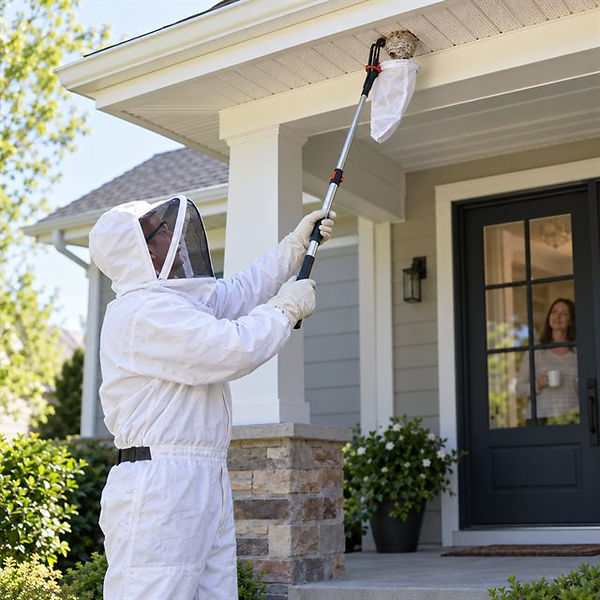 Pest control technician wearing protective clothing using an extended pole and collection bag to remove a wasp nest beneath a porch roof during wasp nest removal services near me