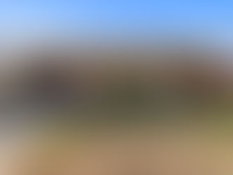 🏡 Hidden Gem in Windsor ON, For Sale | Full Brick 4-Bed, 2-Bath Home with Huge Potential!