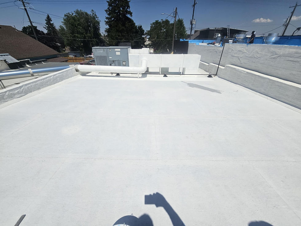 Roof Coating, After by First Rate Roofing Services