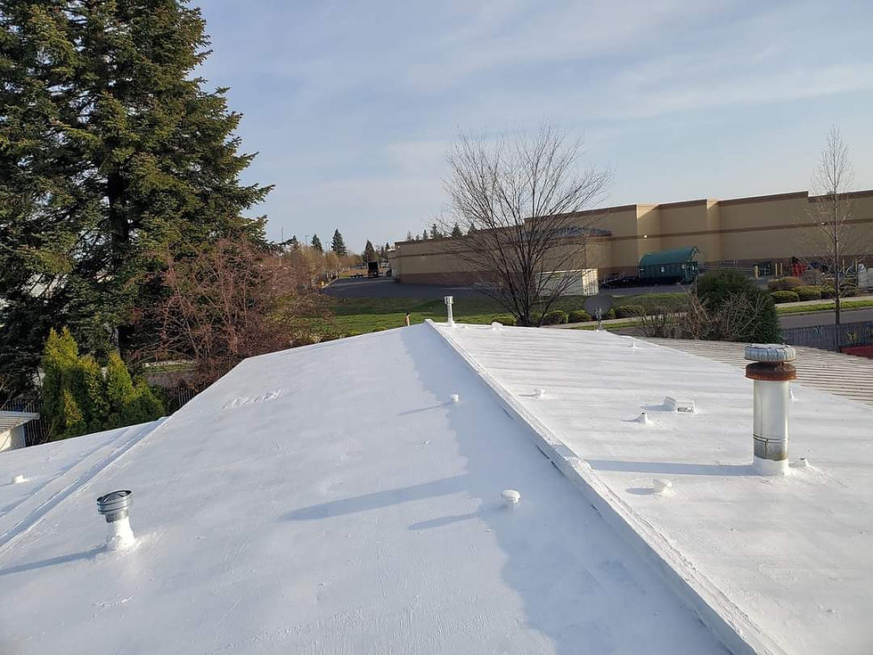 Flat Roof Coating, After by First Rate Roofing Services