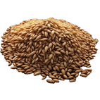 Oats