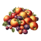 Fruit