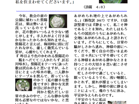 牧師室から6月