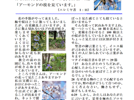 牧師室から5月