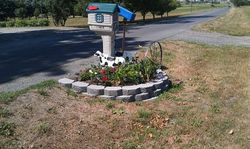 landscaping Adams, NY