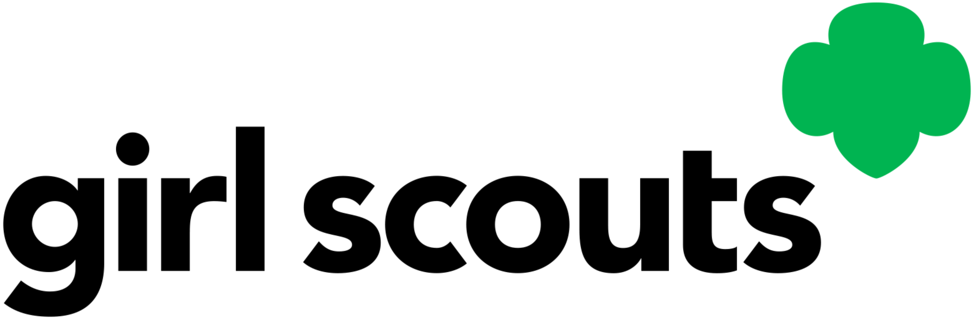 Girl scouts.gif