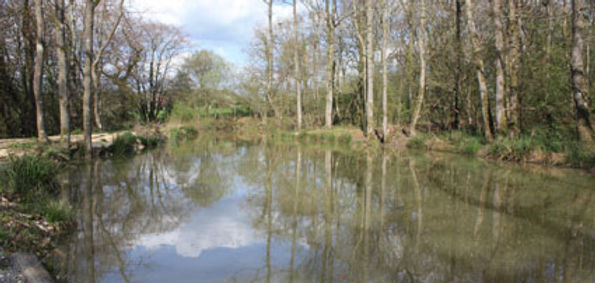 Orchard Lakes, Hants. Jake's Pond.