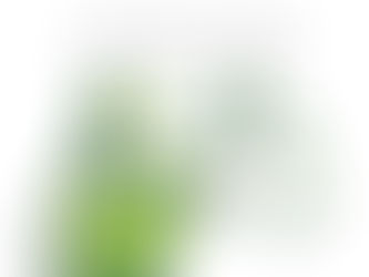 In Dubio Pro Natura: Aplicações