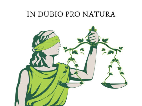 In Dubio Pro Natura: Aplicações