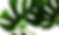 AEnB2Upon6nprvrcsLEr4C4so3-p4ITPa0fNxnsw