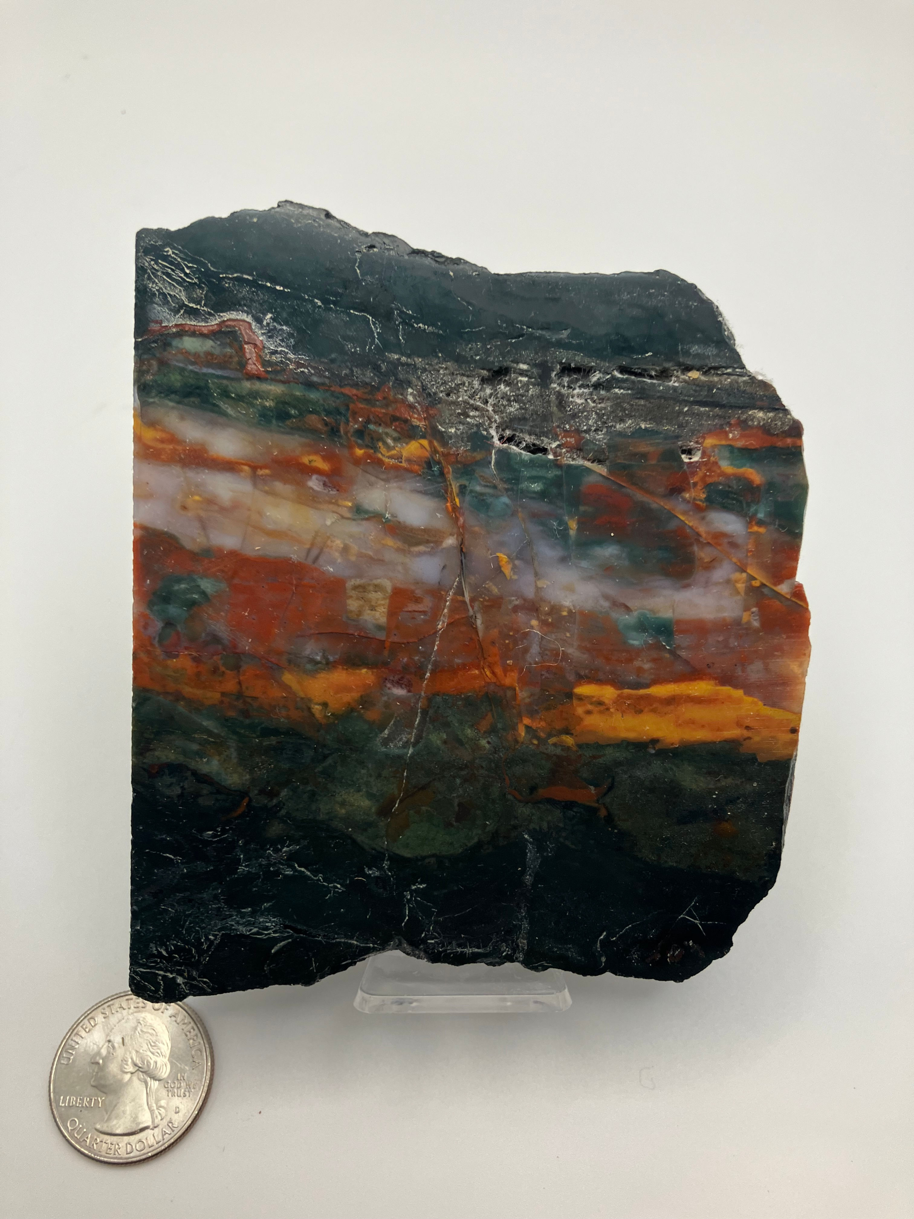 Petrified Wood