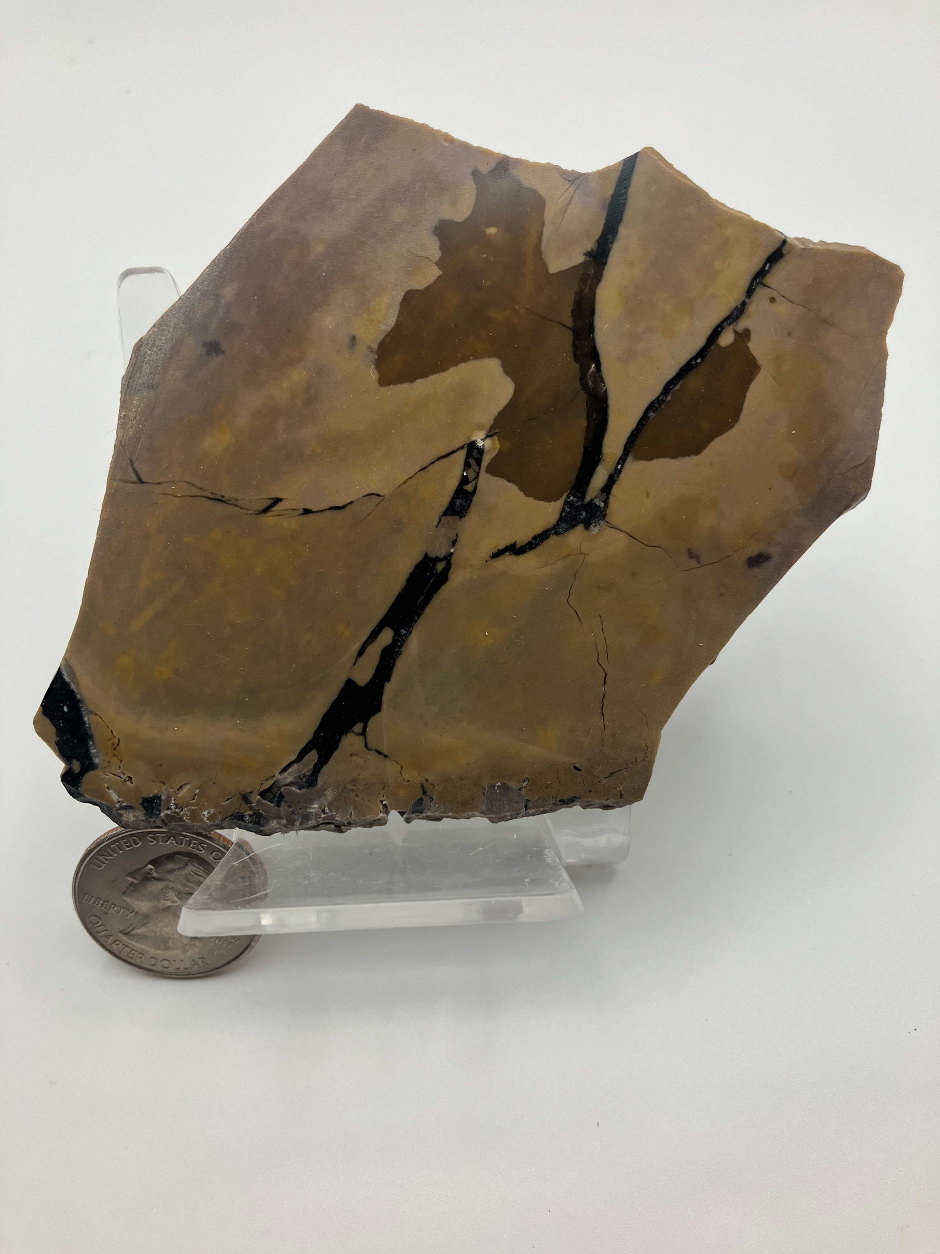 Dendritic "Landscape" Rock