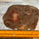Thumbnail: Laguna Agate Slice