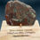 Thumbnail: Brecciated Jasper Slab