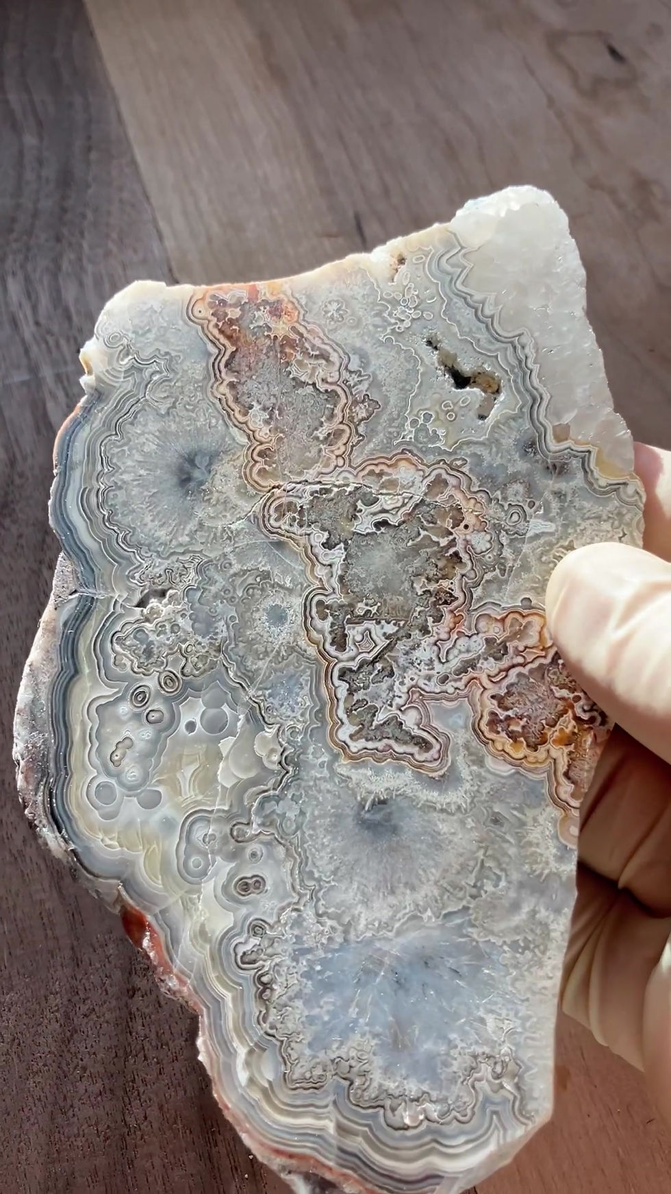 Thumbnail: Crazy Lace Agate Slab from Chihuahua, Mexico – One-of-a-Kind Swirls in Red, Gray