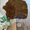 Thumbnail: Brecciated Jasper Slab