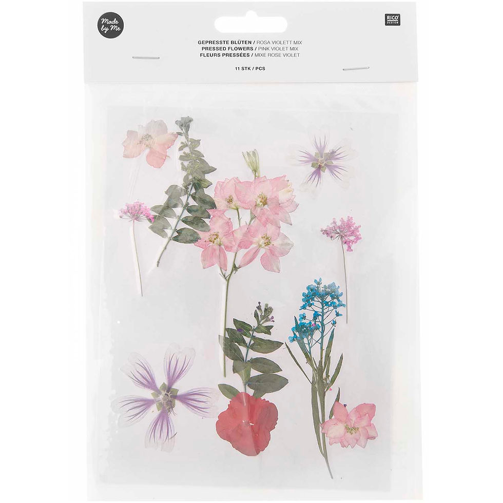 Miniaturbild: Rico Design | Gepresste Blüten Set