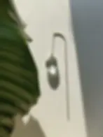 Iris | Der pflanzbare Suncatcher