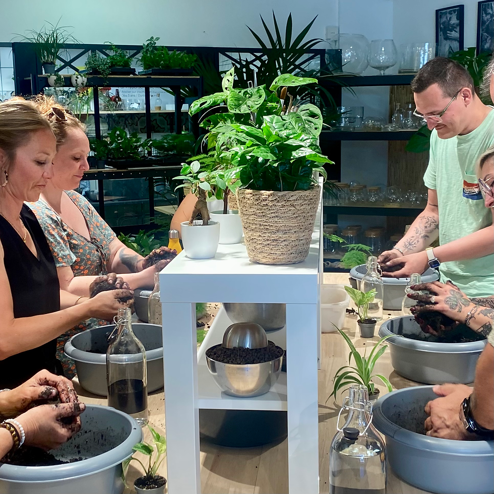 Adultes participant à un atelier kokedama adulte en groupe.