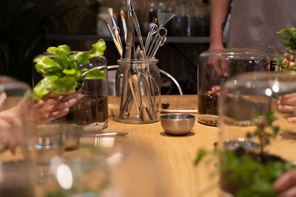 Akw_Shoot - Atelier Terrarium-094.jpg