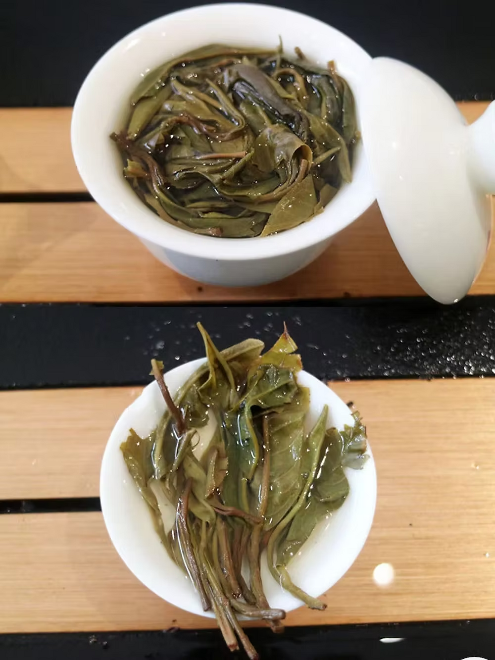 縮圖：古樹普洱生茶冰島甜