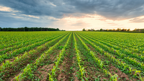 Support to Sustainable Development of the Agriculture Sector in Rural Areas through Diversification of Activities (Measure 7 – Entrepreneurship Promotion Grant Scheme)