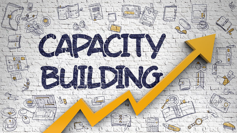 Capacity Building of AVETAE through the Development of Professional Standards and Trainings for Teachers and Management of the Competence Centers (CCs)