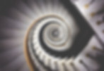 Spiral Staircase