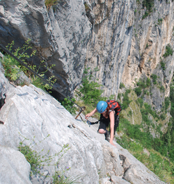 ויה פראטה טיפוס