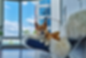 WixContact_edited.jpg