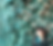 017E4B1A-4811-4C62-9B83-A7061F9BE3C2_1_201_a.heic