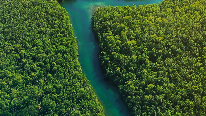 Rock In Rio lança novo projeto ambiental e anuncia a primeira atração dia 27 de agosto
