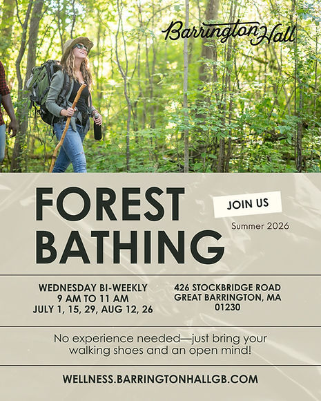 Vicky Ehrich Forest Bathing - Great Barrington