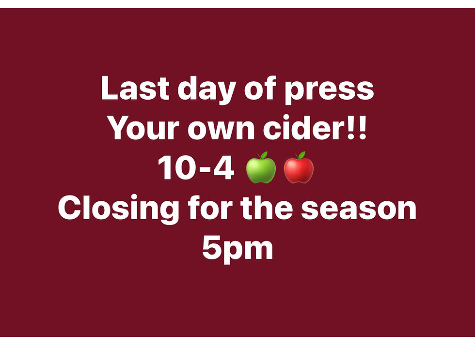 Last day of press your own cider!