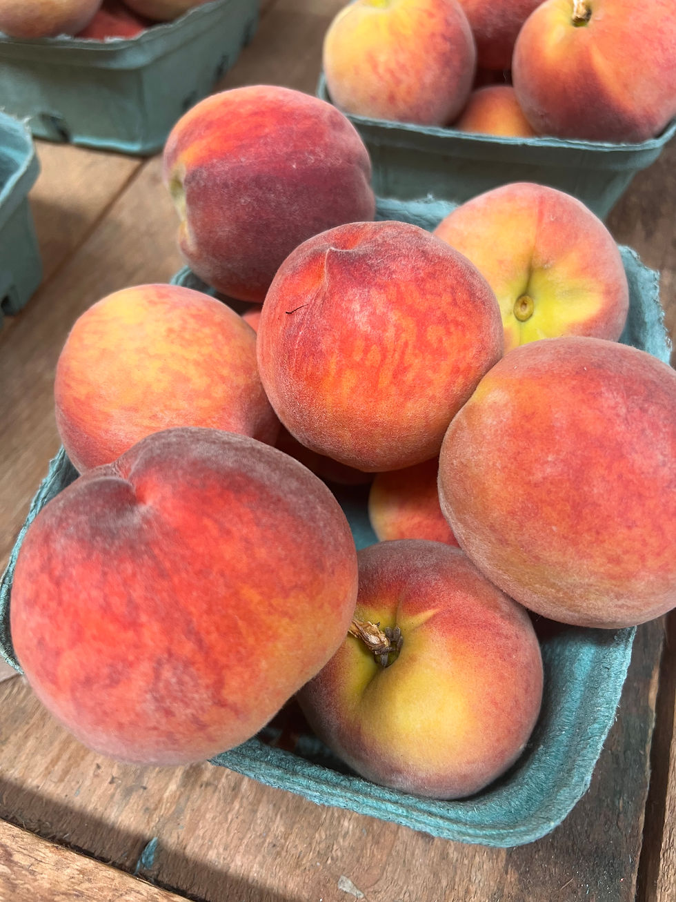 Open today for PYO yellow peaches and blueberries 🫐🍑