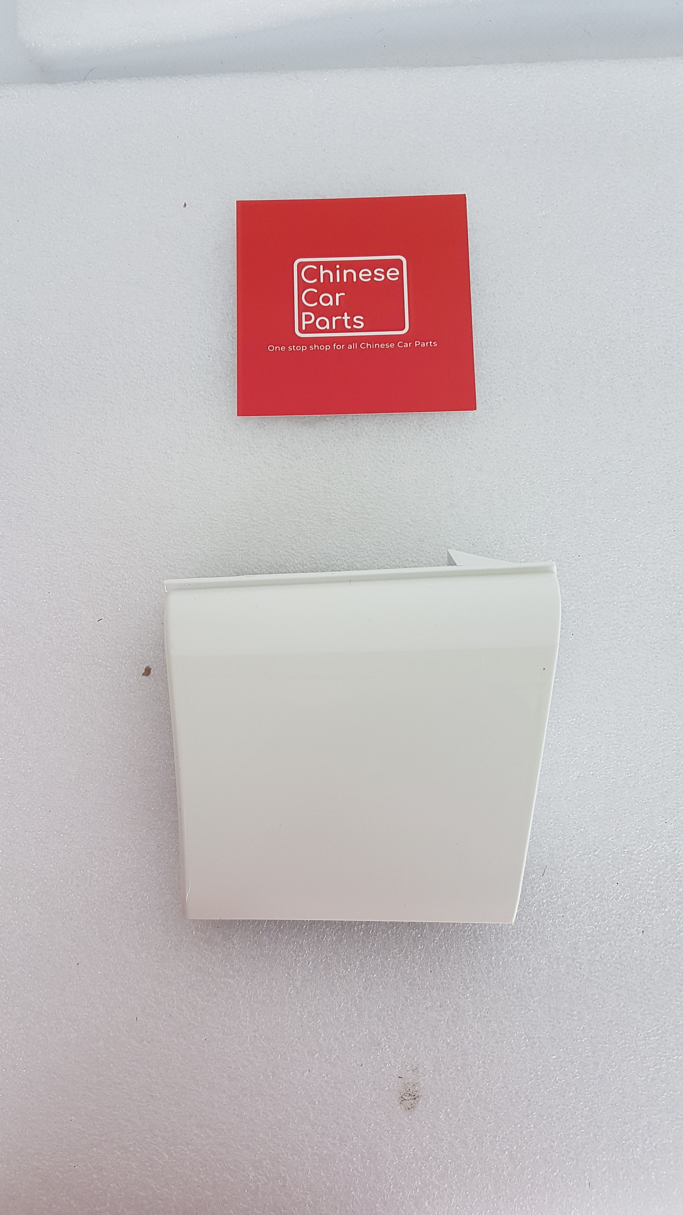 JAC JS6 LEFT WING PAD