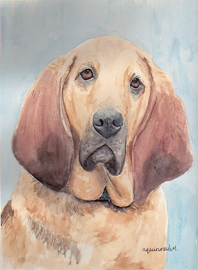 hound dog.jpeg