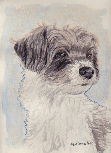 Molly