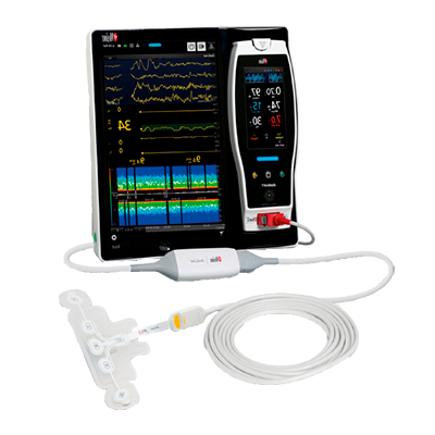 sedline