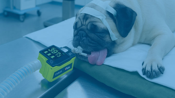 fondospagina (38).jpg