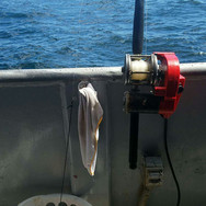 Electric Fishing Pole