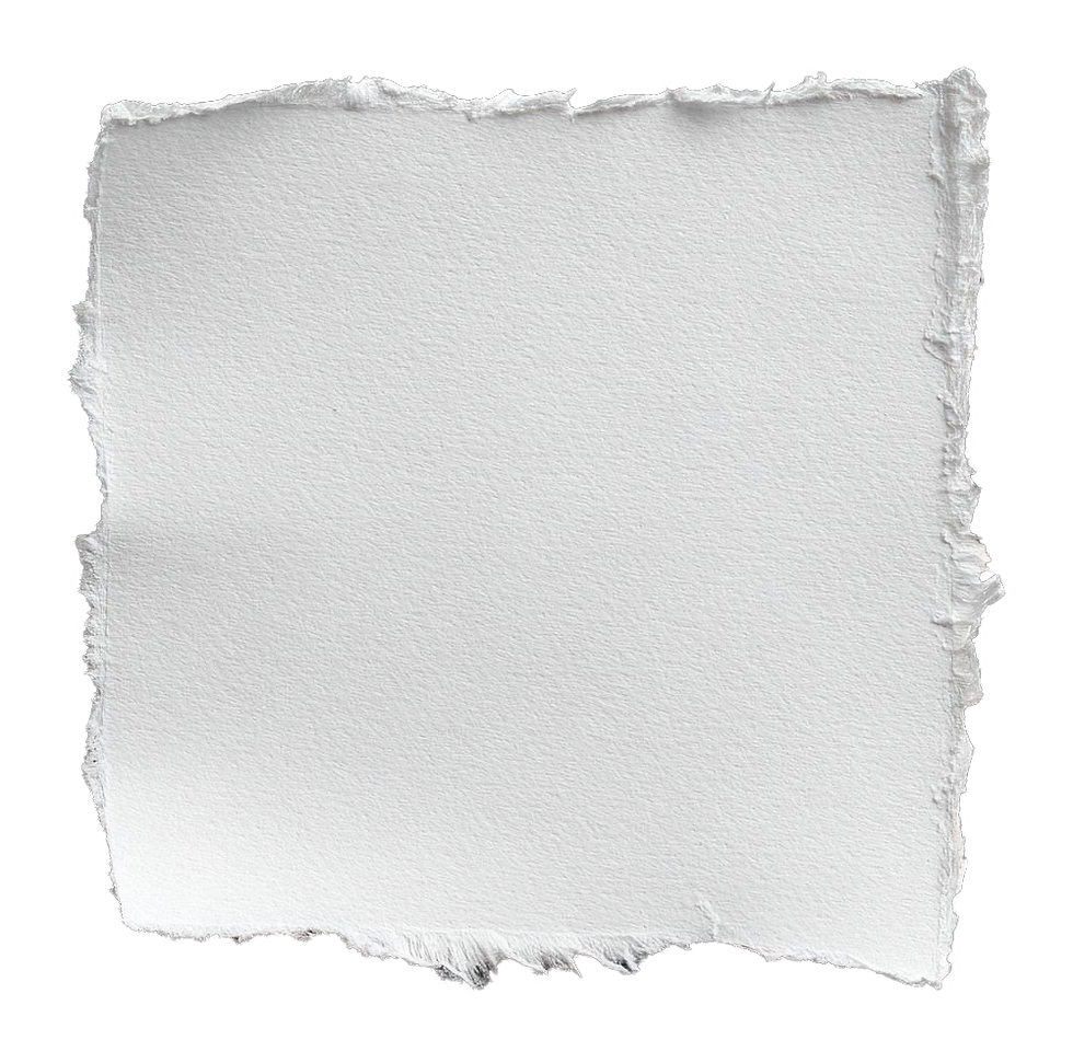 IMG_8990.png