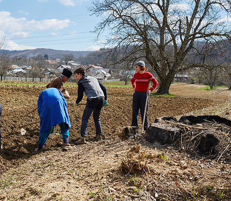 AdobeStock_81591184 (3).jpeg