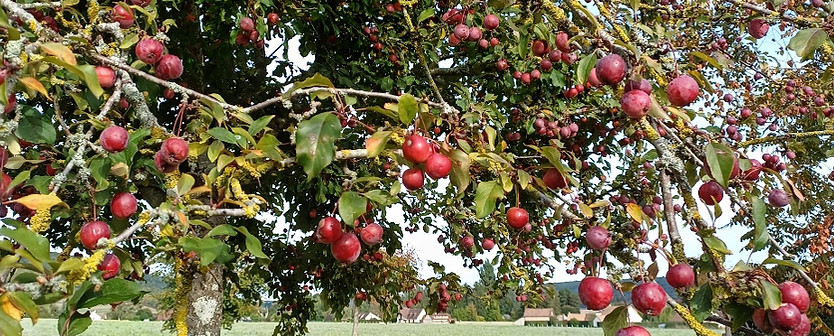 20251002_164654 1 (1024x576).jpg