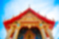 DSC01429.jpg