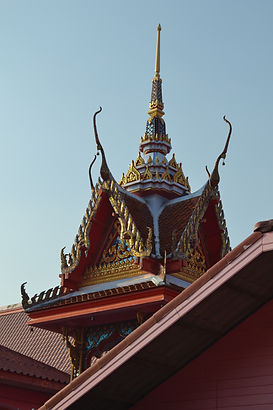 DSC_0077.JPG