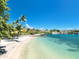 The Weekly Edit: Caribbean Magic at Calabash