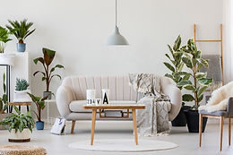 Upholstery Cleaning
