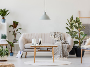 How I earned over $20,000 in less than a year with my Airbnb. Or did I?